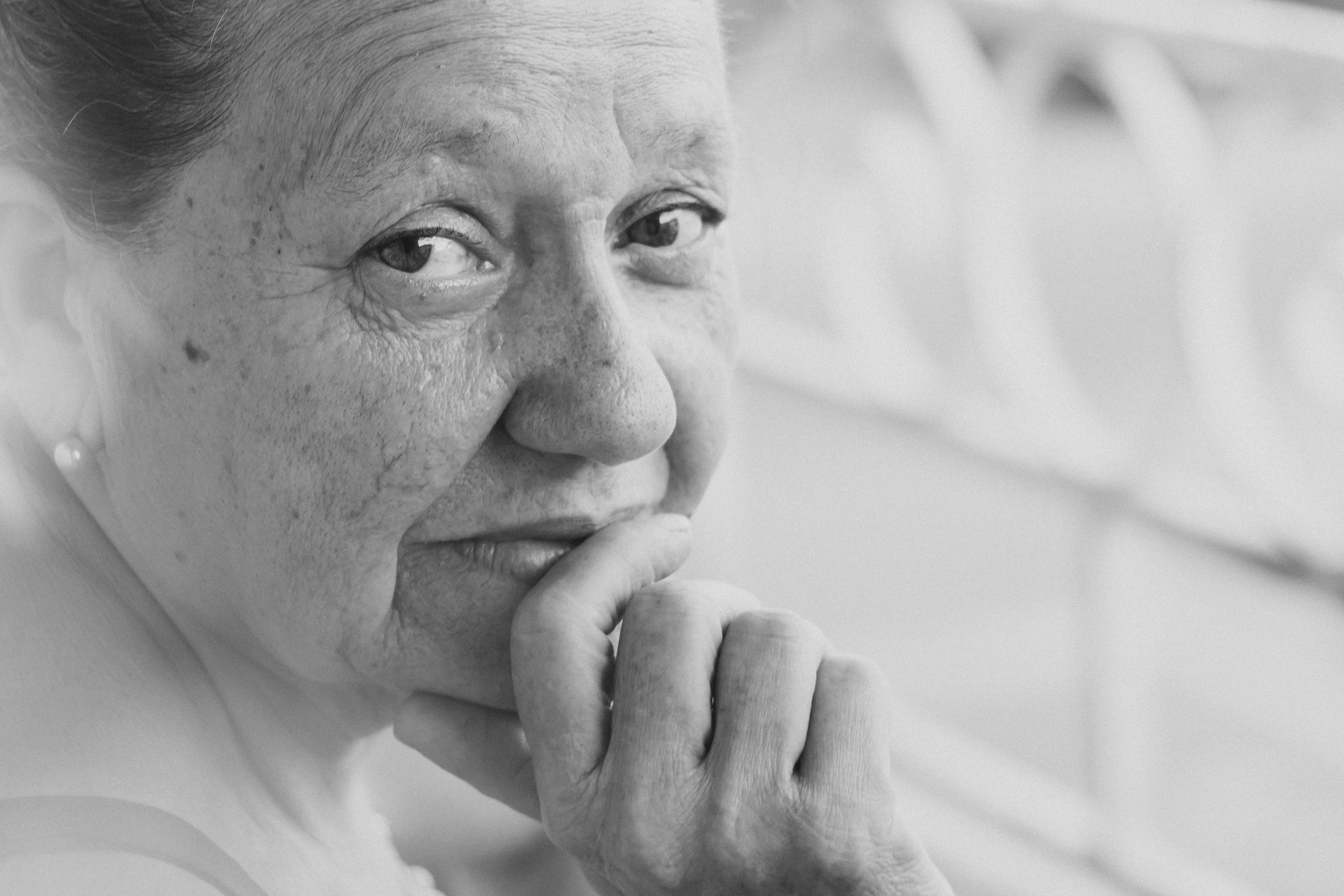 elder law seo